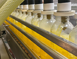 Filling of 16oz bottles with yellow juice beverage at Nutrition Laboratories.