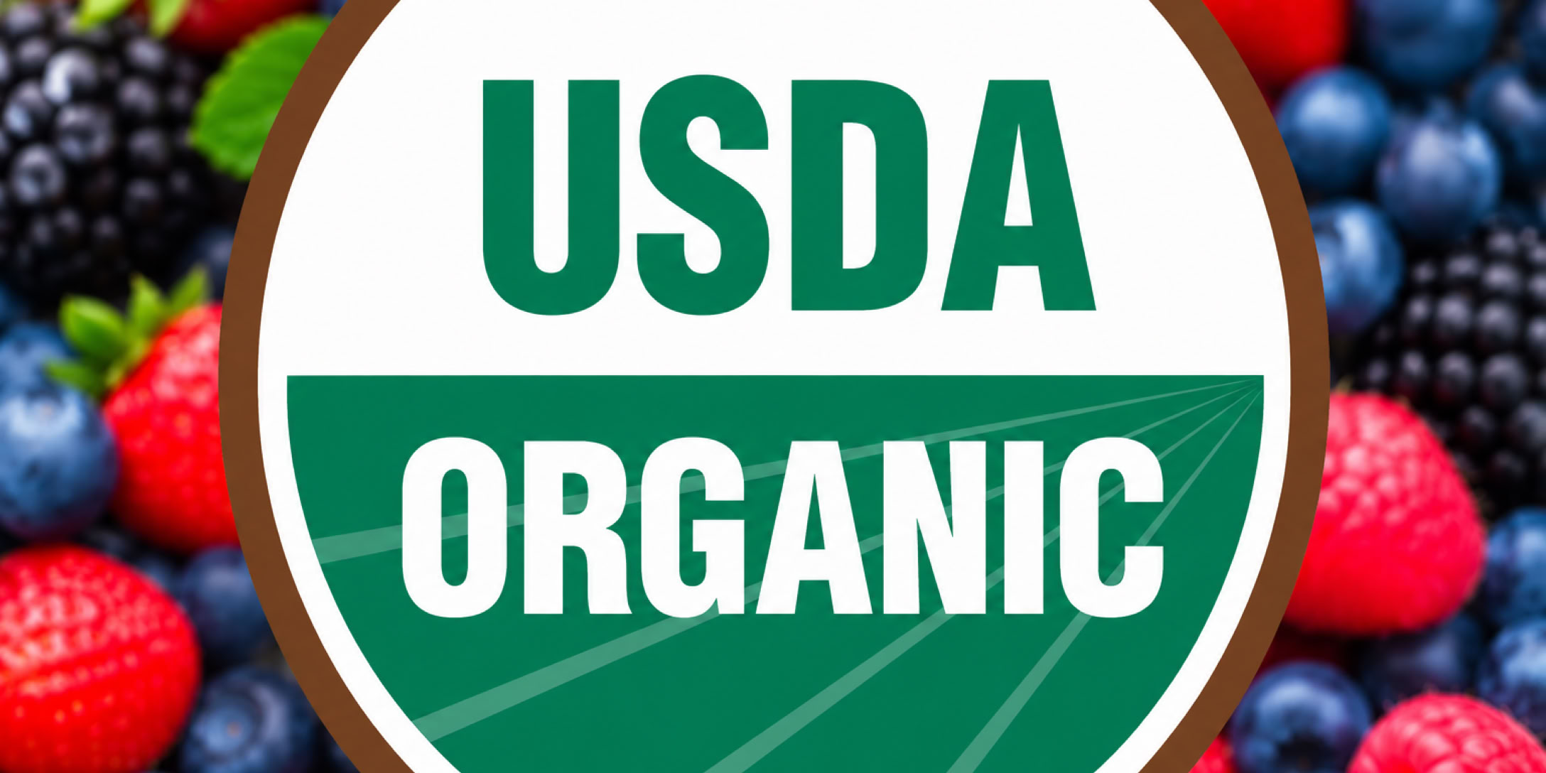 USDA Organic certified beverage manufacturer Nutrition Labs in Clearwater, Florida 